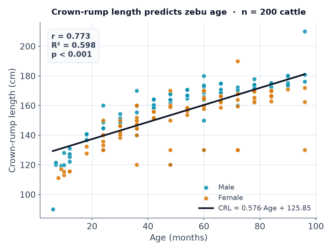 Crown-rump length vs age (n = 200): CRL = 0.576 × Age + 125.85 (r = 0.773, R² = 0.598, p < 0.001).